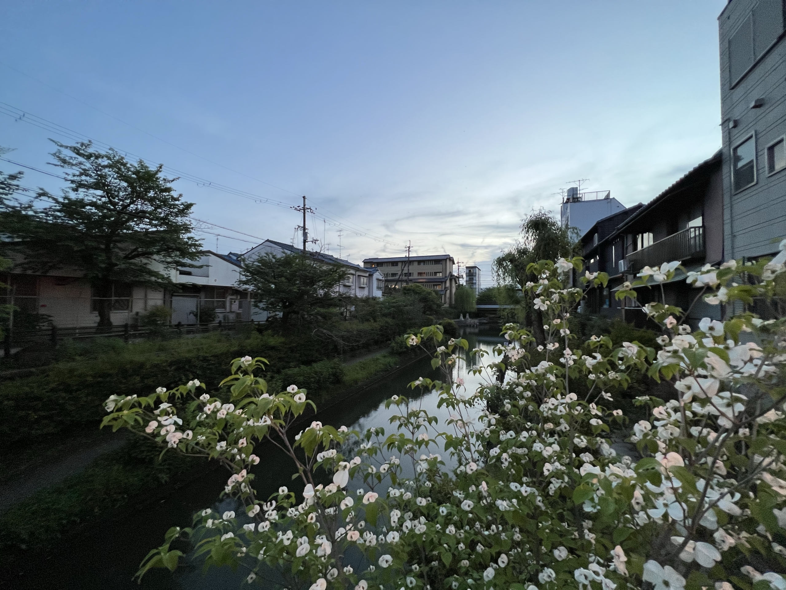 京都伏見　運河